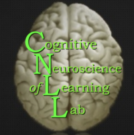 image of a brain with the text in the forefront